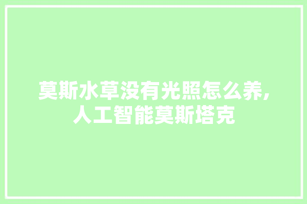 莫斯水草没有光照怎么养,人工智能莫斯塔克