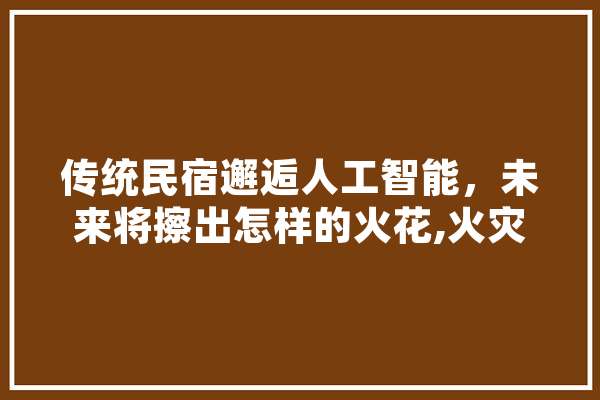 传统民宿邂逅人工智能，未来将擦出怎样的火花,火灾人工智能包括