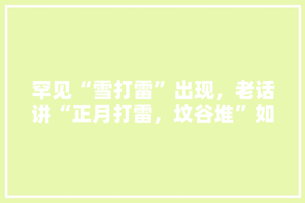 罕见“雪打雷”出现，老话讲“正月打雷，坟谷堆”如何科学的理解,雷鸣 人工智能 智能助手