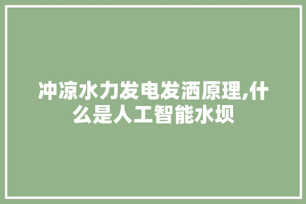 冲凉水力发电发洒原理,什么是人工智能水坝