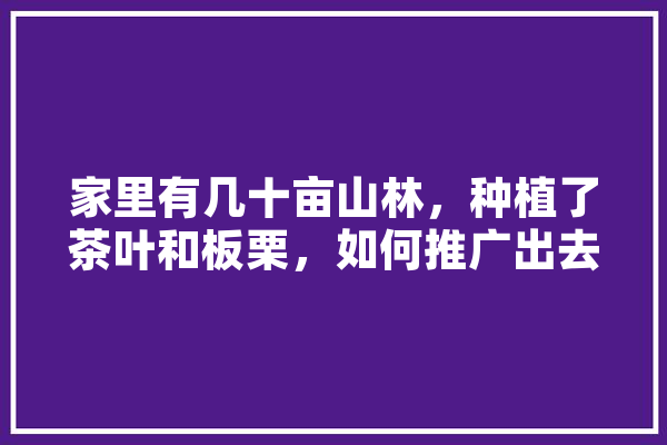 家里有几十亩山林，种植了茶叶和板栗，如何推广出去自产自销,人工智能与茶科技
