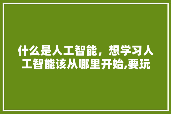什么是人工智能，想学习人工智能该从哪里开始,要玩人工智能吗