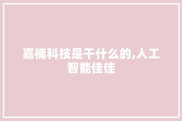 嘉楠科技是干什么的,人工智能佳佳 计算机