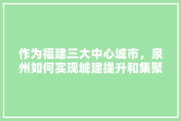 作为福建三大中心城市，泉州如何实现城建提升和集聚人才,洛江人工智能培训机构
