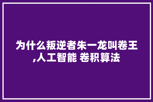 为什么叛逆者朱一龙叫卷王,人工智能 卷积算法 计算机