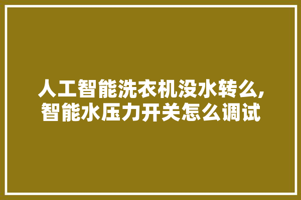 人工智能洗衣机没水转么,智能水压力开关怎么调试 计算机