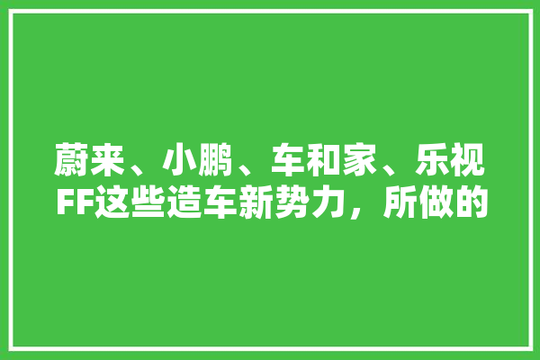 蔚来、小鹏、车和家、乐视FF这些造车新势力，所做的事情都有什么不同,人工智能3学派