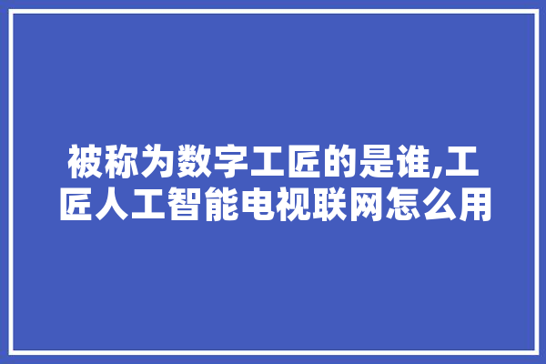 被称为数字工匠的是谁,工匠人工智能电视联网怎么用