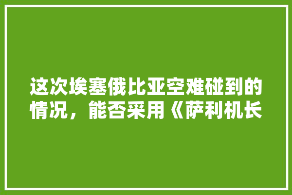 这次埃塞俄比亚空难碰到的情况，能否采用《萨利机长》中飞机倒飞的方式自救吗,机载人工智能