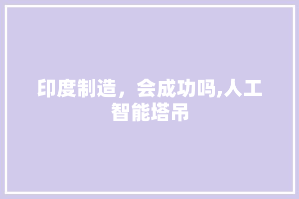 印度制造，会成功吗,人工智能塔吊