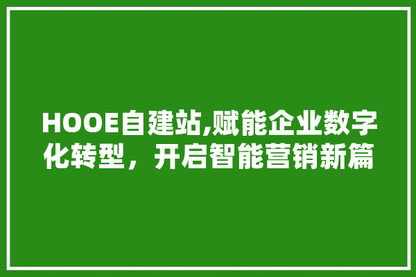 HOOE自建站,赋能企业数字化转型，开启智能营销新篇章 AI简讯