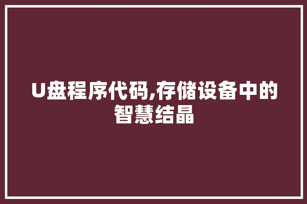 U盘程序代码,存储设备中的智慧结晶 绘影字幕