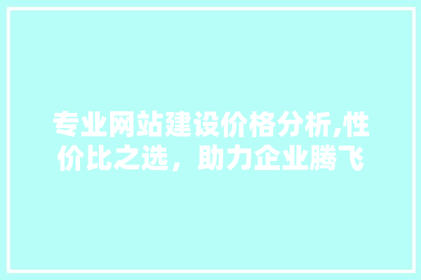 专业网站建设价格分析,性价比之选，助力企业腾飞 智能写作