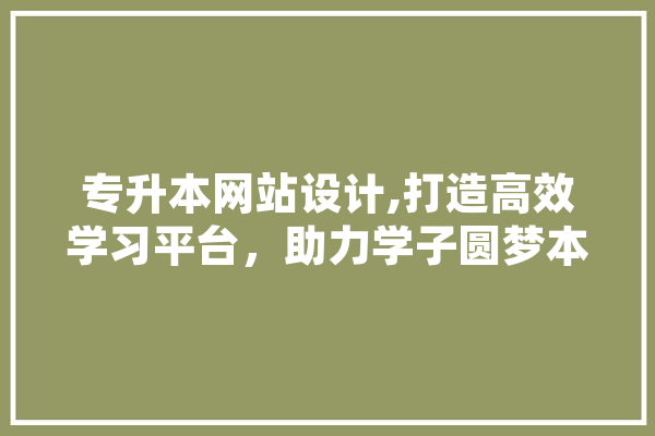 专升本网站设计,打造高效学习平台，助力学子圆梦本科 计算机