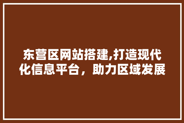 东营区网站搭建,打造现代化信息平台，助力区域发展新篇章 AI快讯