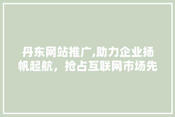 丹东网站推广,助力企业扬帆起航，抢占互联网市场先机