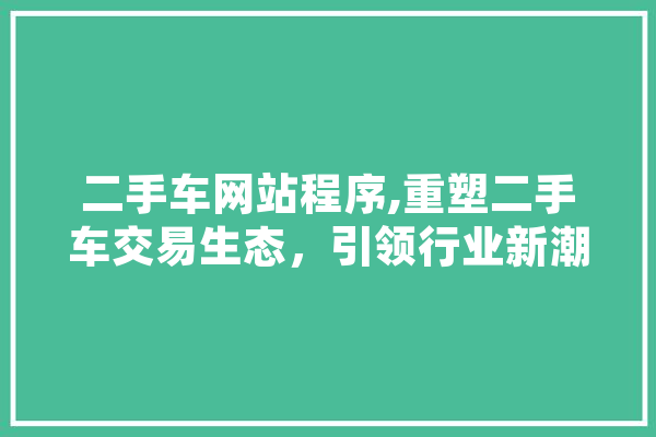 二手车网站程序,重塑二手车交易生态，引领行业新潮流