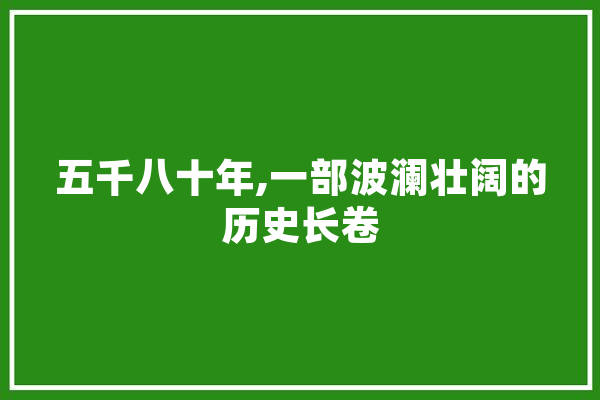 五千八十年,一部波澜壮阔的历史长卷