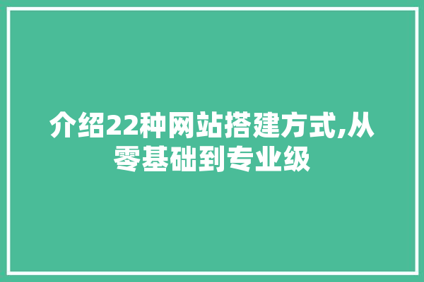 介绍22种网站搭建方式,从零基础到专业级 绘影字幕