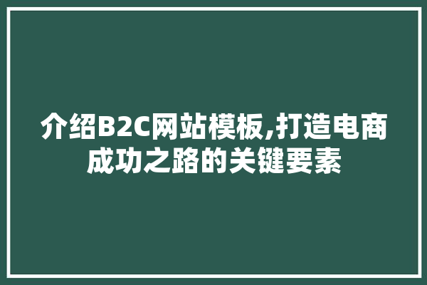 介绍B2C网站模板,打造电商成功之路的关键要素 绘影字幕