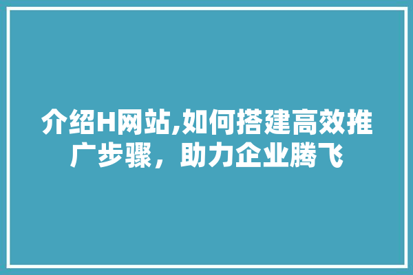 介绍H网站,如何搭建高效推广步骤，助力企业腾飞 绘影字幕