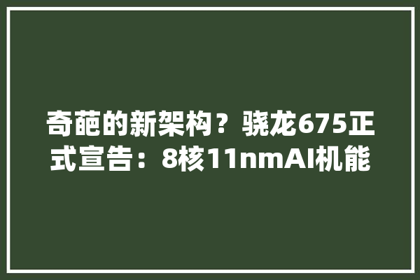 奇葩的新架构？骁龙675正式宣告：8核11nmAI机能媲美845_平台_机能 AI简讯