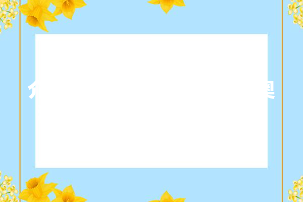 介绍i网站设计排名背后的奥秘,创新与用户体验的完美结合 绘影字幕