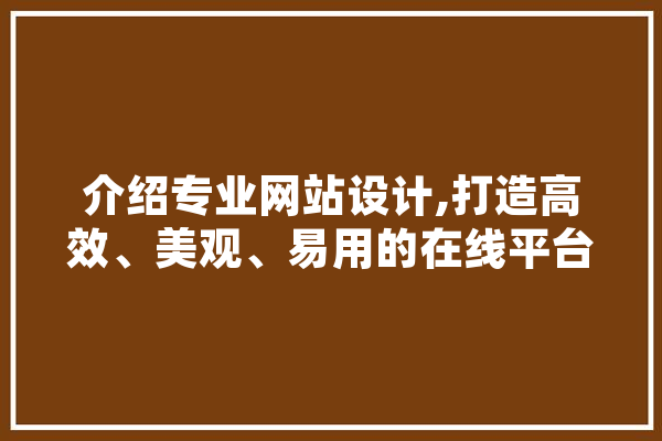 介绍专业网站设计,打造高效、美观、易用的在线平台 计算机
