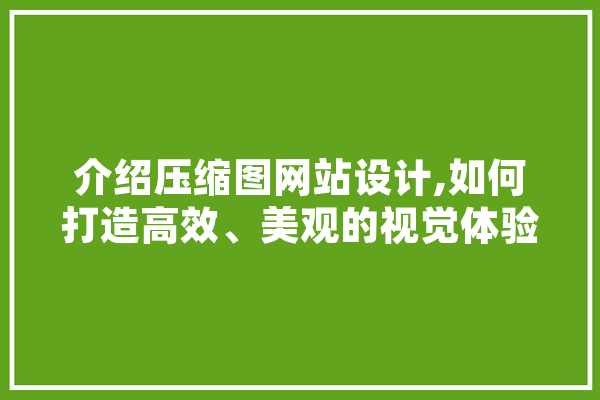 介绍压缩图网站设计,如何打造高效、美观的视觉体验 AI简讯