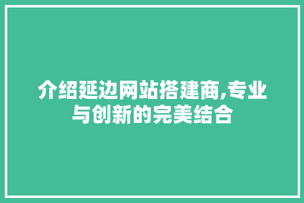 介绍延边网站搭建商,专业与创新的完美结合 智能写作