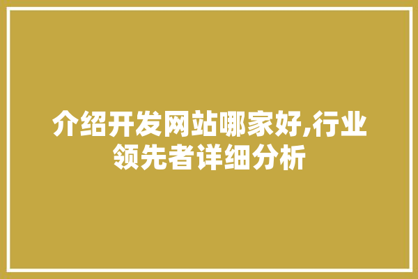 介绍开发网站哪家好,行业领先者详细分析 绘影字幕