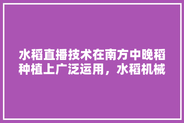 水稻直播技术在南方中晚稻种植上广泛运用，水稻机械插秧还有市场吗,人工智能打拳
