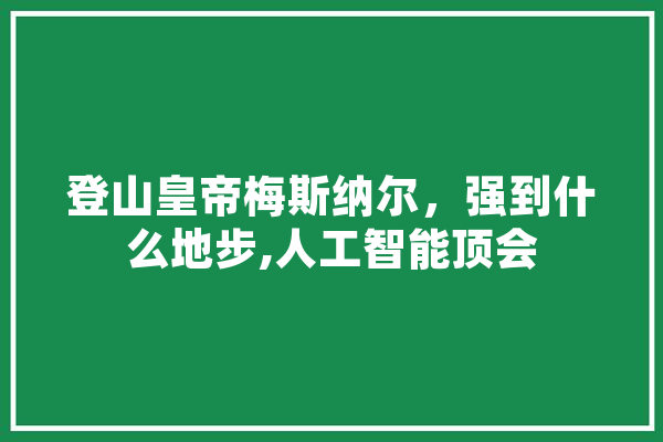 登山皇帝梅斯纳尔，强到什么地步,人工智能顶会 计算机