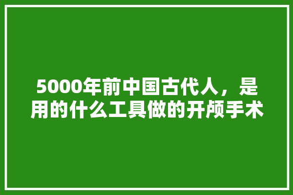 5000年前中国古代人，是用的什么工具做的开颅手术,人工智能头部