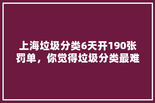 上海垃圾分类6天开190张罚单，你觉得垃圾分类最难的是哪一步,傻雕人工智能怎么样