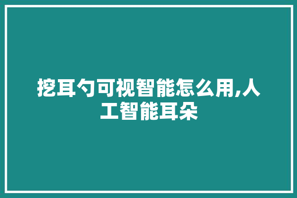 挖耳勺可视智能怎么用,人工智能耳朵