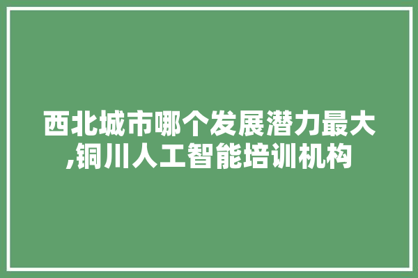 西北城市哪个发展潜力最大,铜川人工智能培训机构