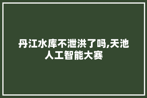 丹江水库不泄洪了吗,天池人工智能大赛