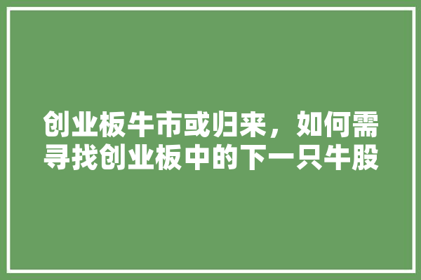 创业板牛市或归来，如何需寻找创业板中的下一只牛股,思创人工智能怎么样