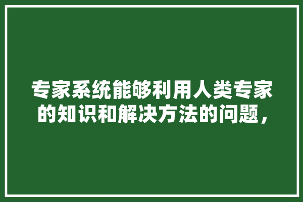 专家系统能够利用人类专家的知识和解决方法的问题，这属于计算机应用中的什么,内部人工智能是什么