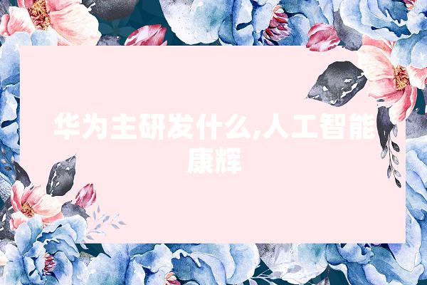华为主研发什么,人工智能康辉