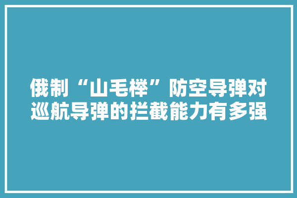 俄制“山毛榉”防空导弹对巡航导弹的拦截能力有多强,人工智能盟友有哪些