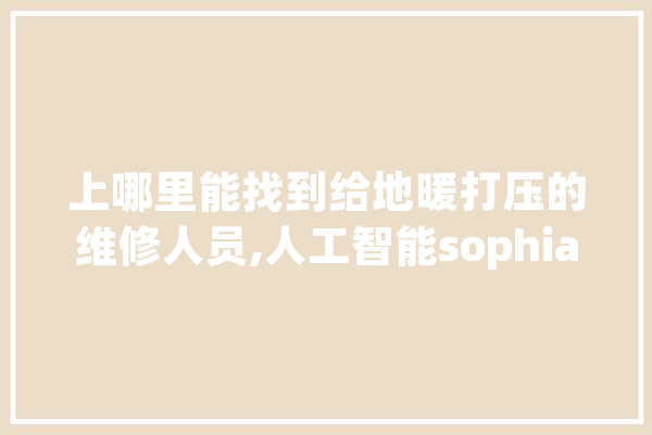 上哪里能找到给地暖打压的维修人员,人工智能sophia