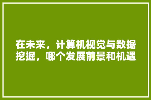 在未来，计算机视觉与数据挖掘，哪个发展前景和机遇要更好,人工智能挖掘机