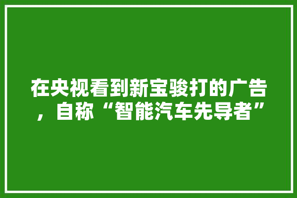 在央视看到新宝骏打的广告，自称“智能汽车先导者”，它配吗,人工智能豪车有哪些 科技快讯