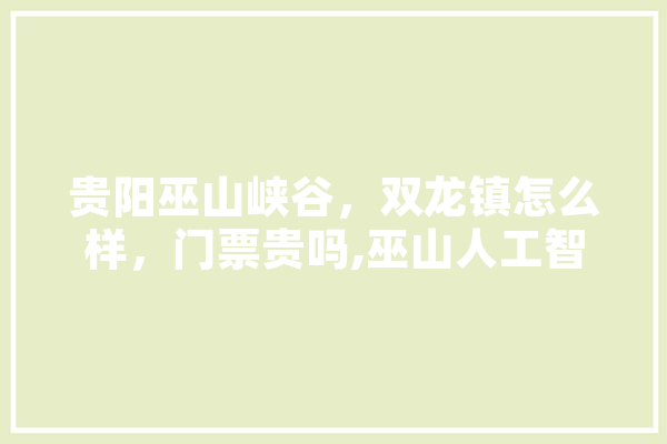 贵阳巫山峡谷，双龙镇怎么样，门票贵吗,巫山人工智能课程费用一览表
