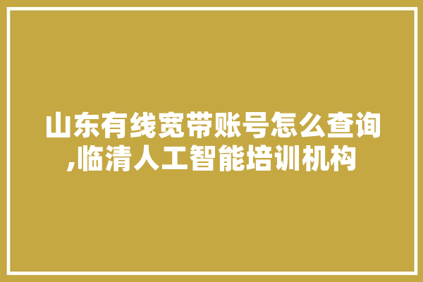 山东有线宽带账号怎么查询,临清人工智能培训机构