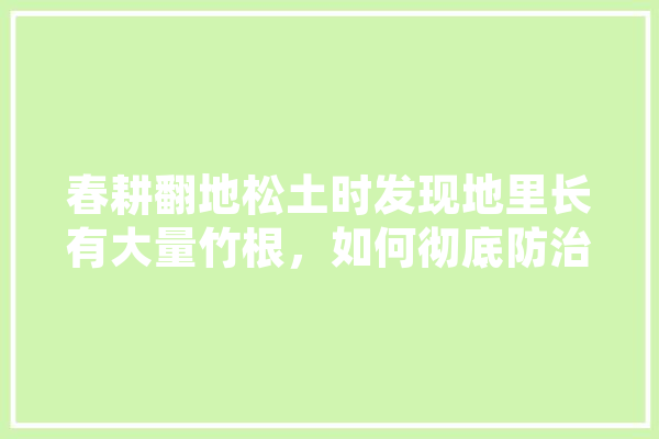 春耕翻地松土时发现地里长有大量竹根，如何彻底防治呢,人工智能超越