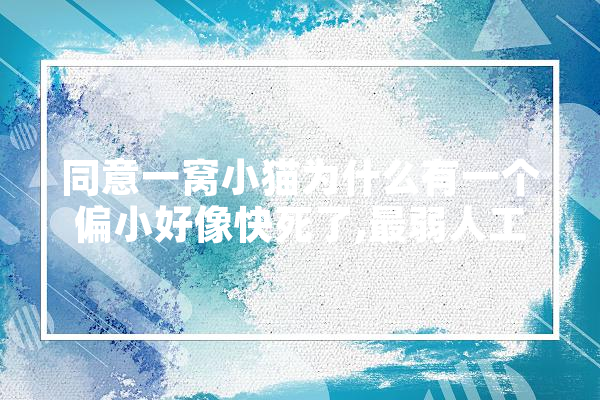 同意一窝小猫为什么有一个偏小好像快死了,最弱人工智能排名