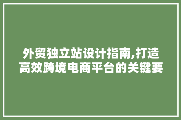 外贸独立站设计指南,打造高效跨境电商平台的关键要素 AI快讯